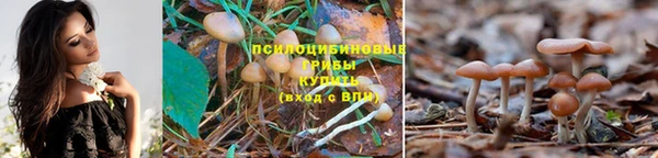 стафф Армянск
